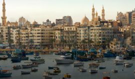 alexandria-information