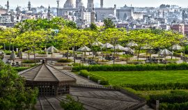 cairos-parks