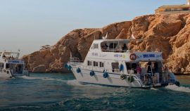 cruises-sailing-water-tours