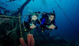 diving-holidays-in-egypt