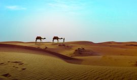 egyptian-desert