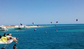 Giftun Islands