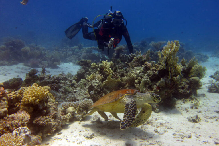 hurghada Attraction