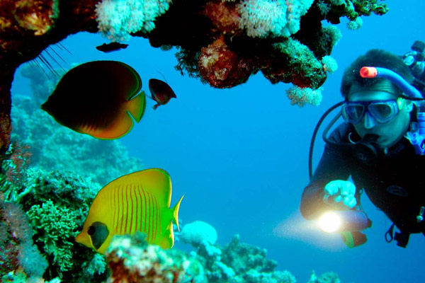 Mahmya Island Snorkeling Trip