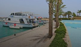marsa-alam-cruises-water-tours