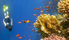 marsa-alam-day-trips-excursions