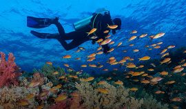 more-things-to-do-in-egypt