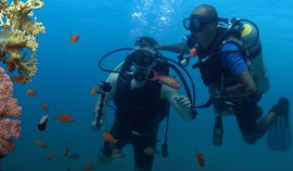 sharm-el-sheikh-private-and-custom-tours