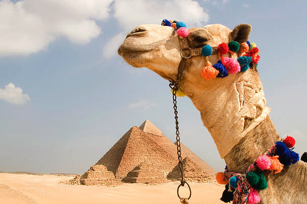 Luxor and Cairo Overnight Trip