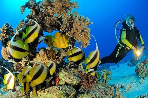 Snorkeling Trip From Safaga Port