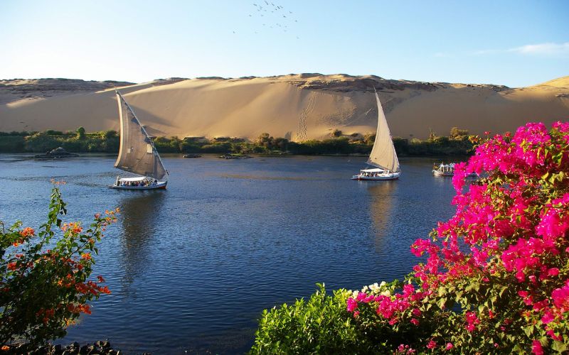 Nile River Cruise