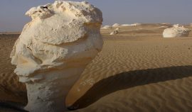 white-desert